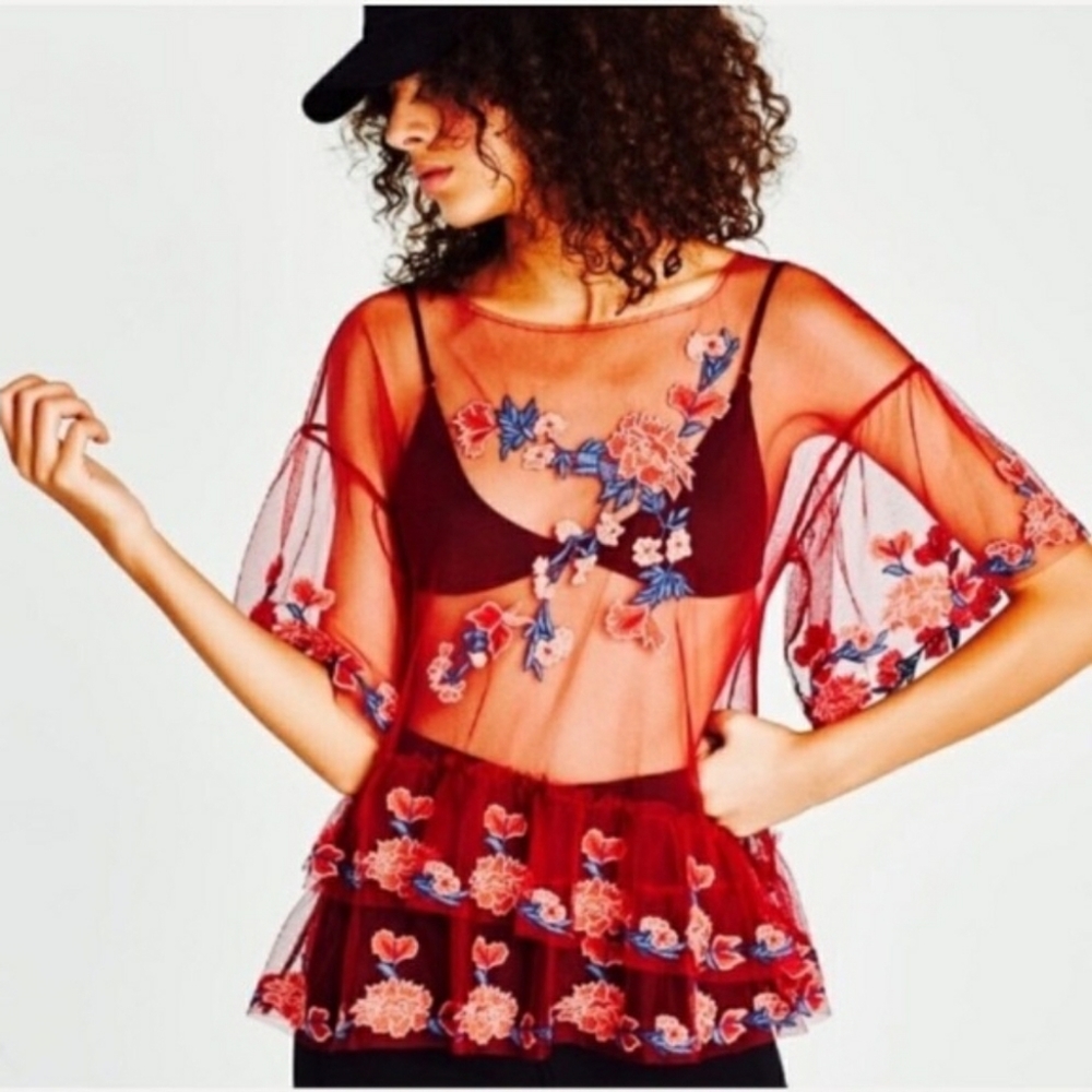 Zara Embroidered Tulle Top